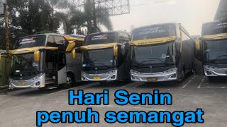 Ternyata sesibuk ini aktifitas Garasi Bus Jackal holidays Pariwisata di awal pekan