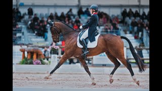 EQUESTRIAN DAVID HUNT •  UNDERSTANDING DRESSAGE  • BASIC ASSESSMENT