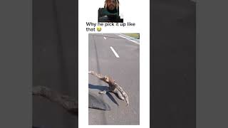 Brah tell me this sloth doesn’t look like Bellingham #meme #funny #viralvideo #animal #tiktok