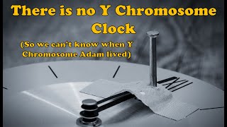 There is no Y Chromosome Clock