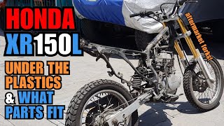 HONDA XR150L - SPEC OVERVIEW and POTENTIAL UPGRADES for your reference!