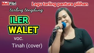 LAGU TARLING CERBONAN INDRAMAYU " ILER WALET -  TINAH (COVER )