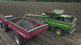 Sunflower harvesting with John Deere s660 and s760 combine