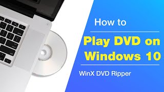 How to Play DVD on Windows 10 for Free [2 Ways]