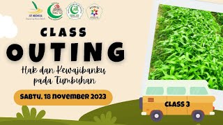 Outing Class 3 | Belajar menanam sayur dan memetik sayur di kebun.