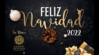 Navidad 2022 Hacienda Ojo de Agua #navidad