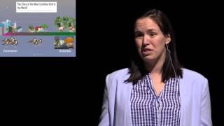 Elevator Speech 2016 - Jessica Burnett - Is the House Sparrow our Canary in the Urban Coal Mine?