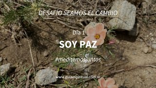 SOY LA PAZ - Desafío "Seamos el cambio" -