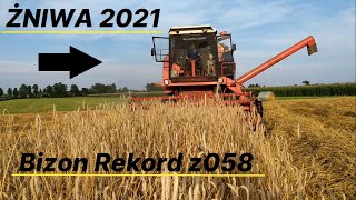 Czerwony Reksiu w akcji ;) czyli ŻNIWA 2021 | BIZON REKORD Z058 | Dźwięk silnika (engine sound) |