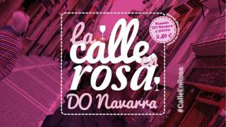 LA CALLE EN ROSA 2016 (Teaser)