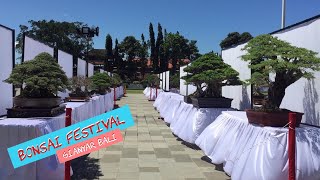 Bonsai Festival | Gianyar Bali