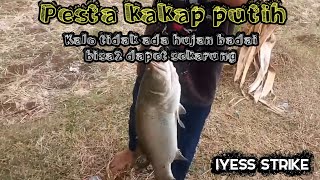 ANGLER PEMULA AUTO KECANDUAN