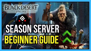 Guide to the Season Server in Black Desert Online (For Beginners!)