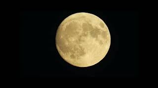 Super Moon September 16, 2024 Nikon P1000 Sky Watch