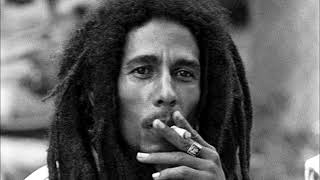 Bob Marley & The Wailers - All in one