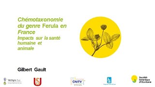 Convergences botaniques 2020 - 21. Chémotaxonomie du genre Ferula en France (Gilbert Gault)