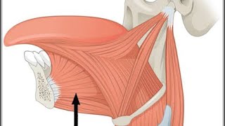 #Lingual Dystonia 🧠 2 Cases #neurology  #dystonia