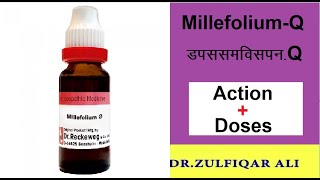 Millefolium | मिलिफ़ोलियम | Actions | Doses | Explained in Urdu/Hindi