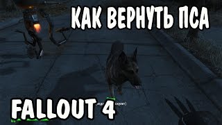 Как вернуть собаку? Fallout 4