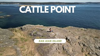 Exploring San Juan Island by E-Bike: Wild Fox Sighting, Salish Sea Views, & Cattle Point Prairies!