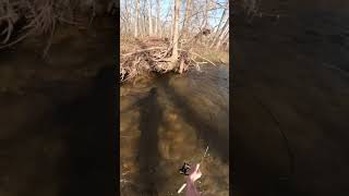 Ultralight Trout Fishing Fight!