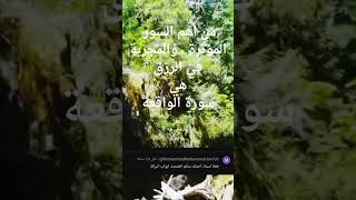 سورة الواقعة للرزق