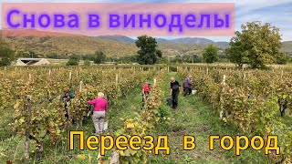 СНОВА РЕШИЛ СДЕЛАТЬ СВОЕ ВИНО/ПЕРЕЕЗД В ГОРОД