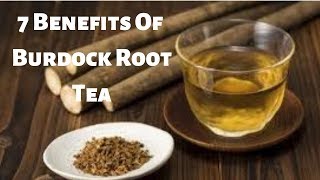 7 Benefits Of Burdock Root Tea