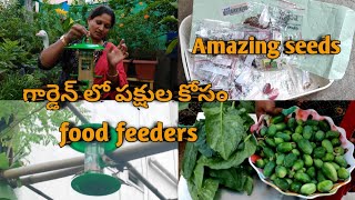 పక్షుల కోసం food feeders || నేను ఎప్పుడు చూడని Vegetable Seeds నాకు Gift || Harvesting vegetables