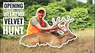 OPENING WEEKEND VELVET HUNT SUCCESS!  Public Land : Biggest Mass Buck Yet!