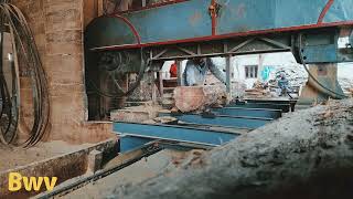 Trolley Wood Cutting sawmill in India// Teak Wood Cutting #sawmill #amazing #india #teakwood