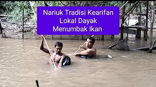 Nariuk,Kearifan Lokal Suku Dayak#berburuikanfredator