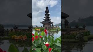 Balis berühmter Tempel im Norden 😍 #bali #indonesien #weltreise #urlaub #travel