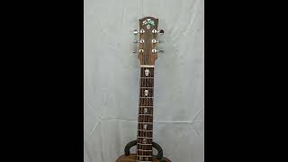 Beautiful Satre Guitars