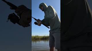 Over slot REDFISH inside Louisiana marsh