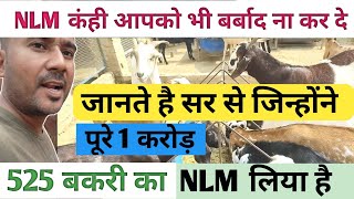 NLM Ke Bare Me SatikJankari|Sir NE Li Pure 1 Karod Ki NLM Scheme |Kam Kaisa Chal Raha Hai|Vimalumrao