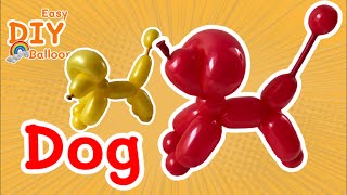 Dog Poodle - Balloon Animals