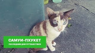 Самуи-Пхукет. Последние дни путешествия