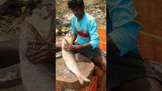 💥3kg Rohu Fish Cutting🤯 | fish Cutting Skills👌💢❗ #trending #viral #erodefood #rohufishcutting #skill