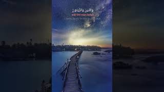 Surah Ad-Duha Alam Nashrah At-Teen