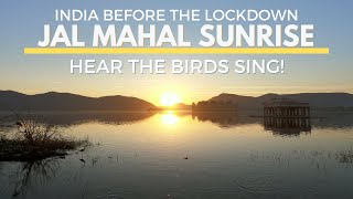 Amazing Sunrise at Jal Mahal "Water Palace" | Listen to Thousands of Birds Singing! | Jaipur India