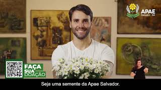 É tempo de semear: Seja uma semente da Apae Salvador