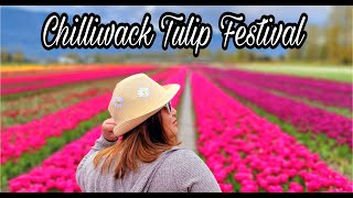 Chilliwack Tulip Festival 2022 in Beautiful British Columbia Canada | ysay dale