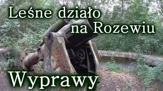 Leśne działo na Rozewiu - 34. Bateria Artylerii Stałej