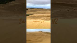 Giant Sand dunes of New Zealand at Cape Reinga #sand #newzealand #sanddunes #naturebeauty #ytshorts