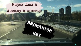 Переезд на юг - мечта // Ищем дом в аренду в Натухаевской