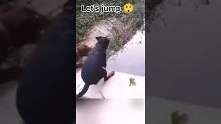 haha jump buddy 😂😂😂