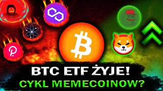 BITCOIN ETF ŻYJE! CYKL I TOTALNA DOMINACJA MEMECOINÓW?