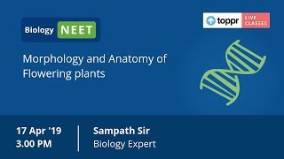 LiveClasses: NEET - Hacks & Tricks - Biology | Morphology and Anatomy of Flowering plants