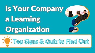 Is Your Company a Learning Organization? Take This Quiz to Find Out!